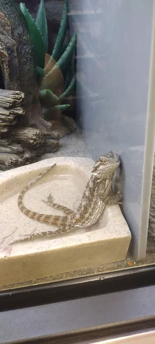 Petco Picture 10