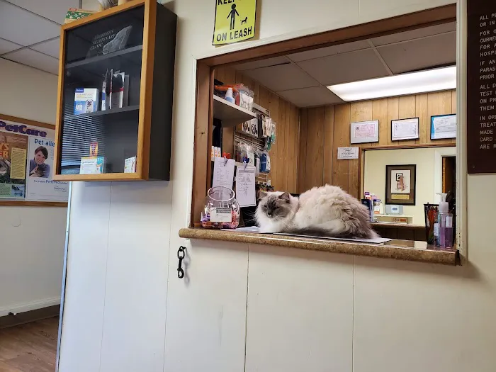 Aberdeen Veterinary Clinic Picture 6