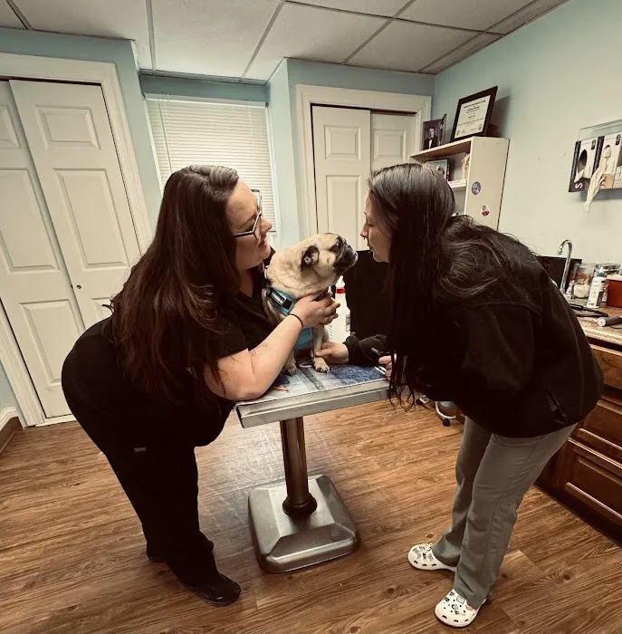 Aberdeen Veterinary Clinic Picture 9