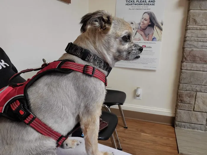 Aberdeen Veterinary Clinic Picture 10