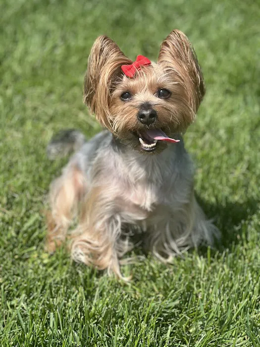 Vetco Total Care Animal Hospital Picture 6