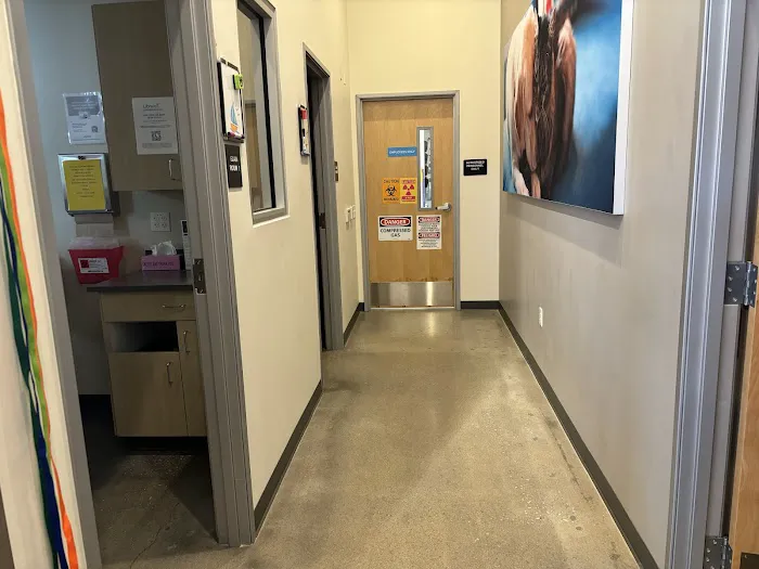 Vetco Total Care Animal Hospital Picture 9