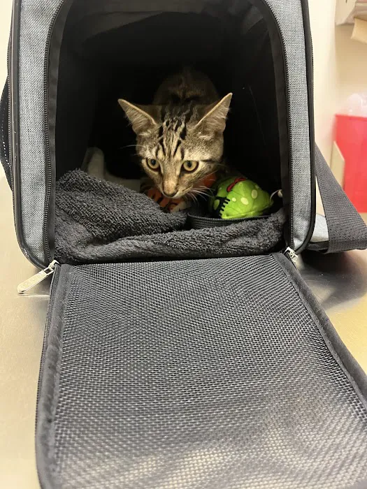 Vetco Total Care Animal Hospital Picture 10