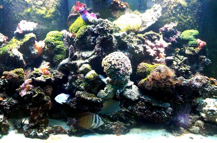 The Fish Guy/Fish Works Picture 2