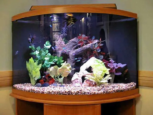 Fish Works Picture 1