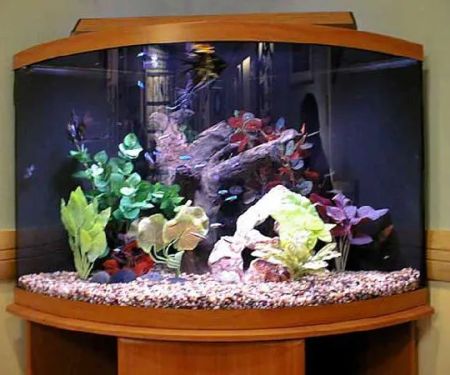 Fish Works