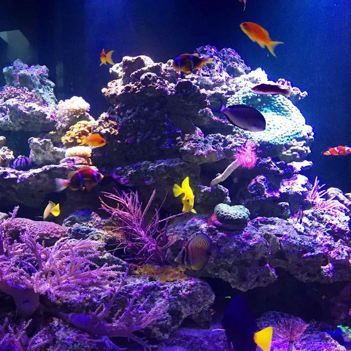 Fish Works Picture 3
