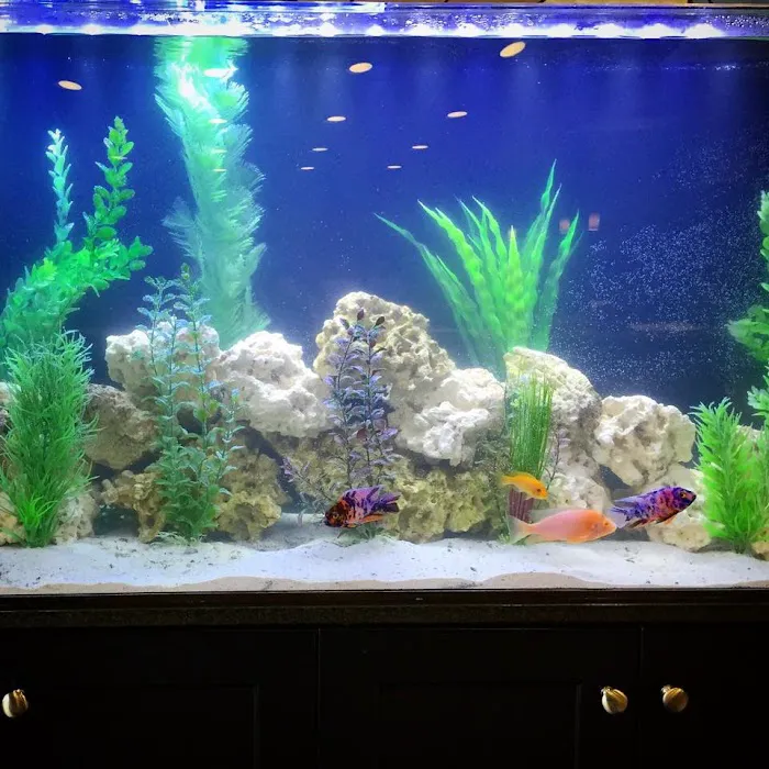 Fish Works Picture 5