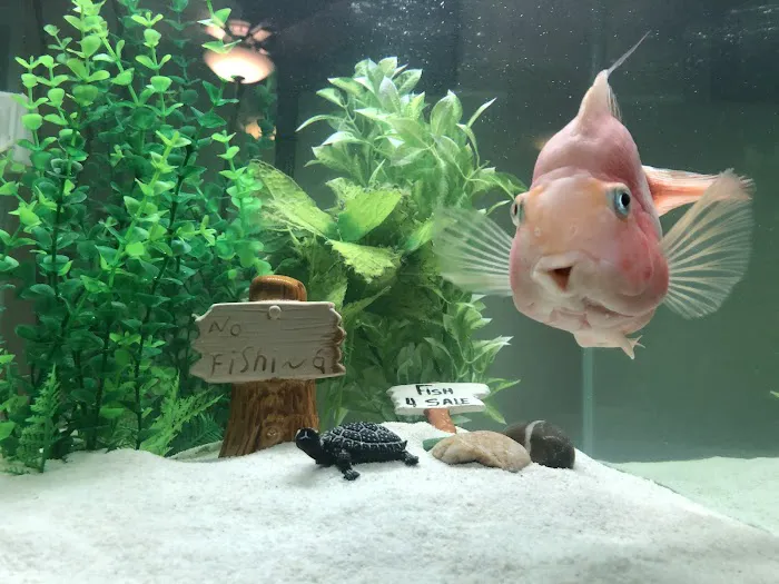 Fish Works Picture 8