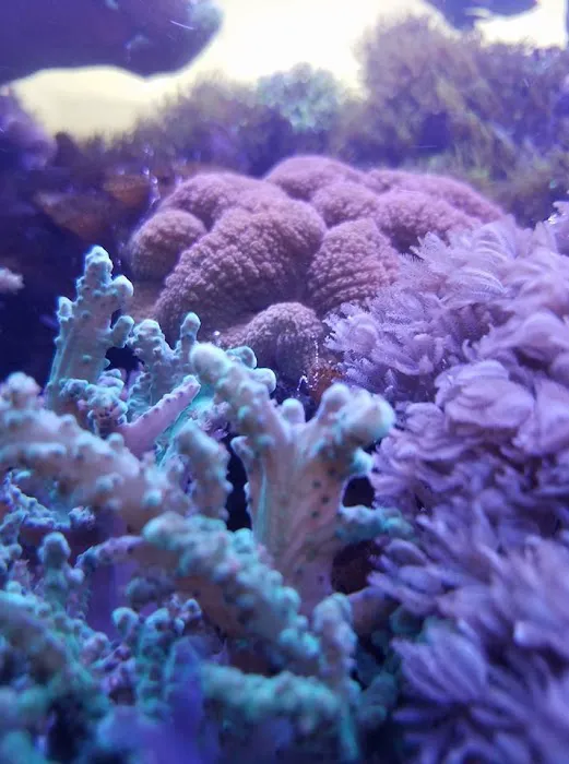 Fish Works Picture 6