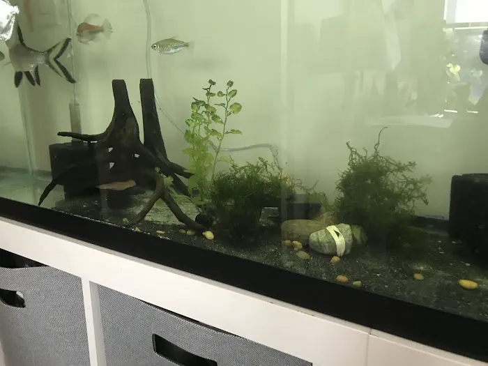 Fish Works Picture 9