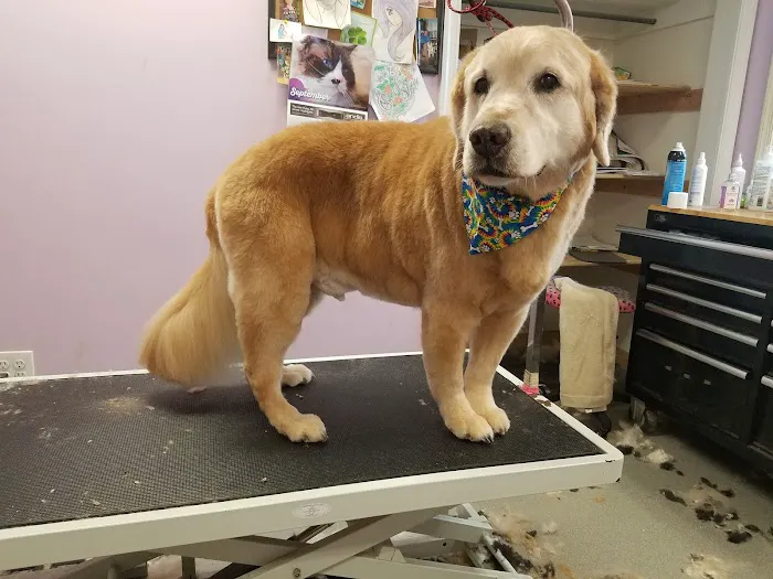 Middletown Veterinary Hospital Picture 6