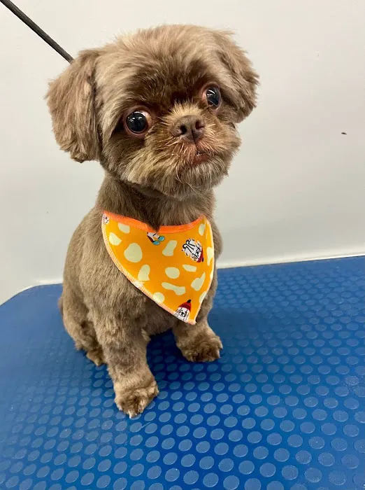 Holly Pet's Picture 2