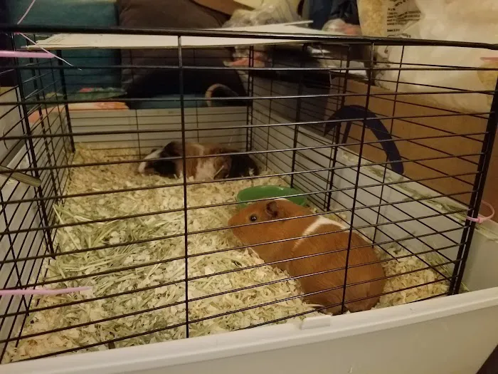 Petco Picture 2