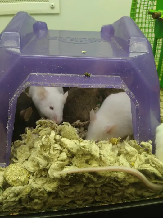 Petco Picture 6
