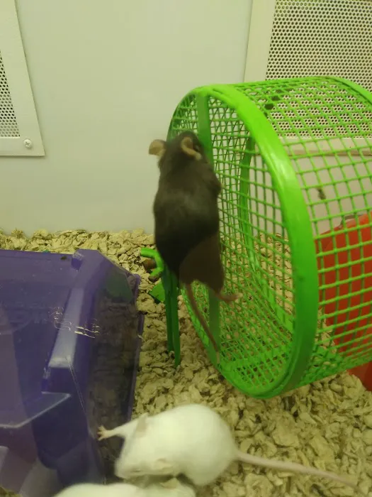 Petco Picture 8