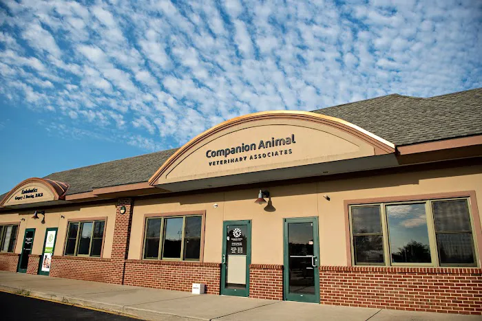 Companion Animal Veterinary Associates, LLC Picture 2