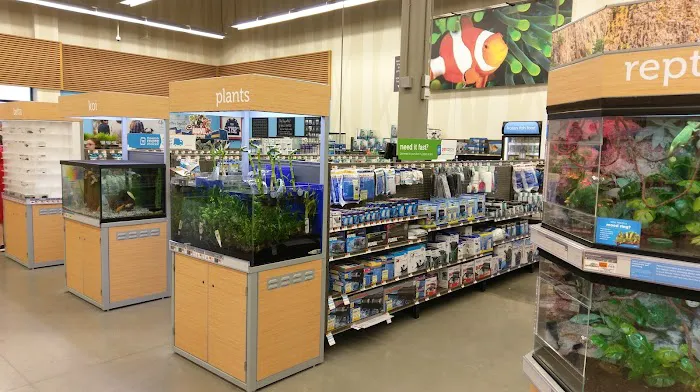 Petco Picture 1