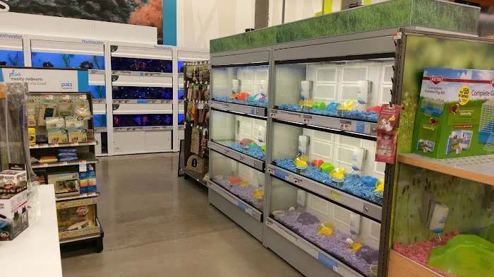 Petco Picture 4