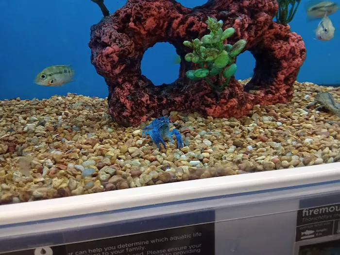 Petco Picture 6