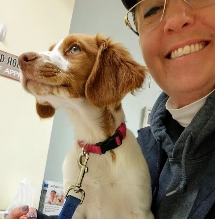 Bay Animal Hospital Picture 2