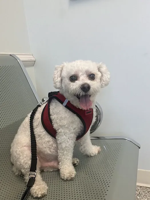 Bay Animal Hospital Picture 3