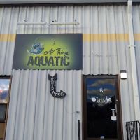 All Things Aquatic LLC ico