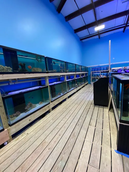 All Things Aquatic LLC Picture 4