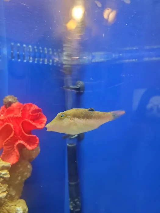 All Things Aquatic LLC Picture 5