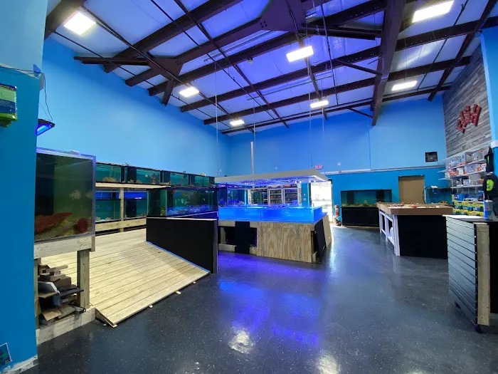All Things Aquatic LLC Picture 7