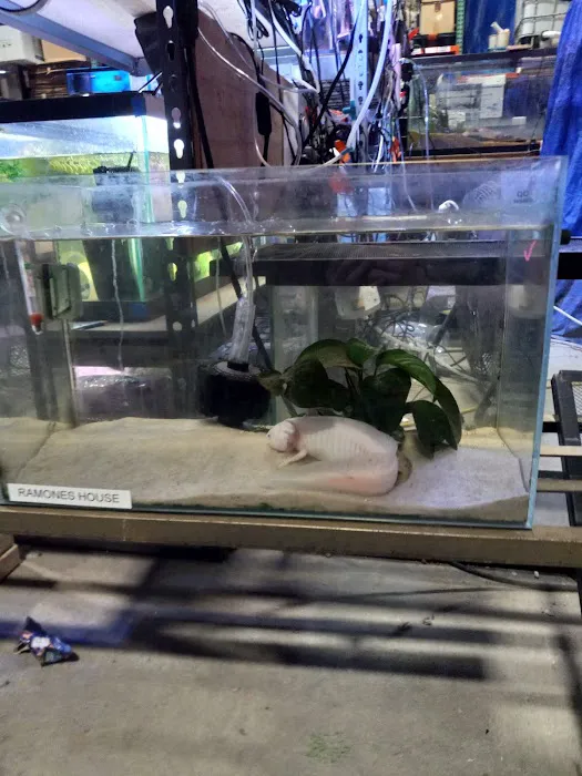 All Things Aquatic LLC Picture 6