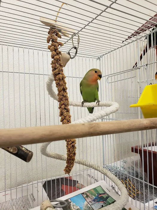 Bird & Reptile Connection Picture 4