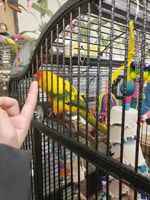 Bird & Reptile Connection Picture 8