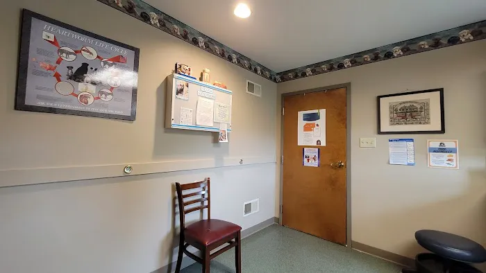 Peaceable Kingdom Animal Hospital Picture 6