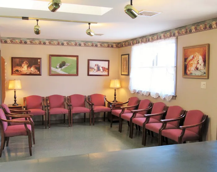Peaceable Kingdom Animal Hospital Picture 10