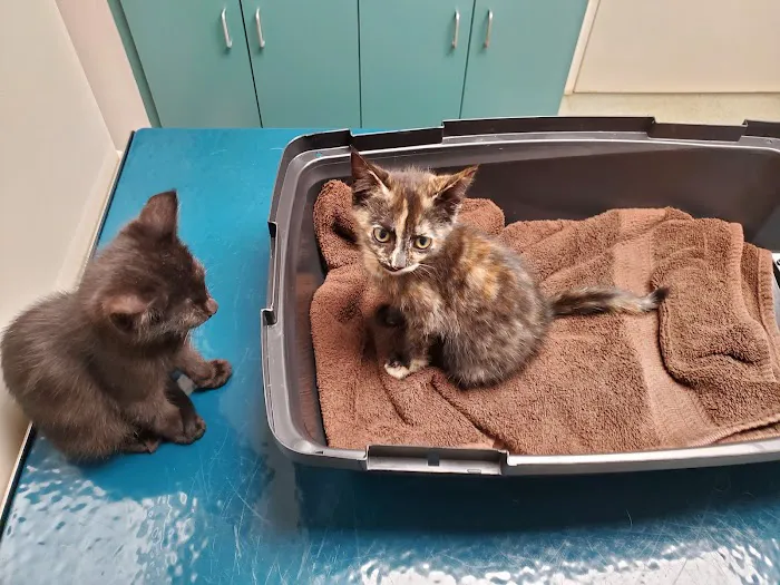 Warwick Run Animal Clinic Picture 6