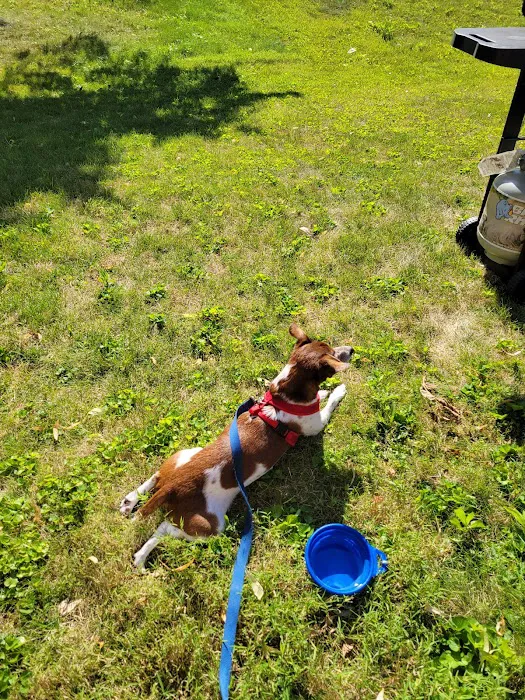 Warwick Run Animal Clinic Picture 7