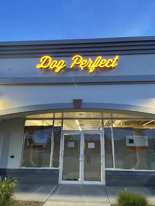DogPerfect Canine Emporium LLC Picture 2
