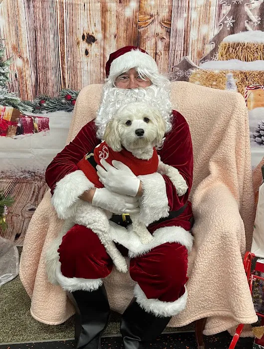 DogPerfect Canine Emporium LLC Picture 3