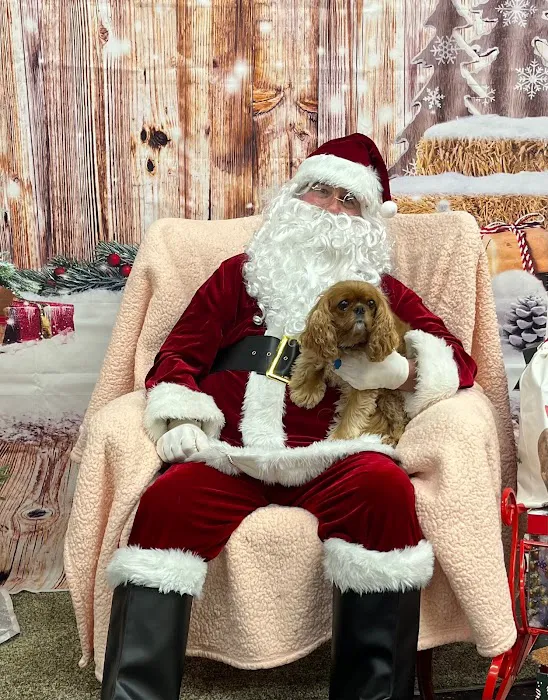 DogPerfect Canine Emporium LLC Picture 6