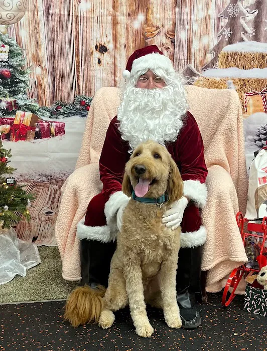 DogPerfect Canine Emporium LLC Picture 9