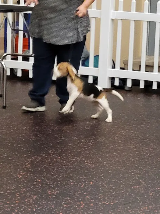 DogPerfect Canine Emporium LLC Picture 10