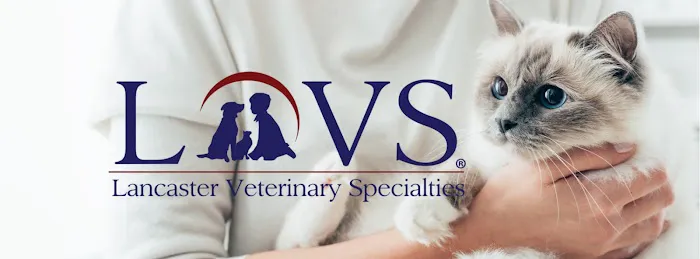 Lancaster Veterinary Specialties Picture 3