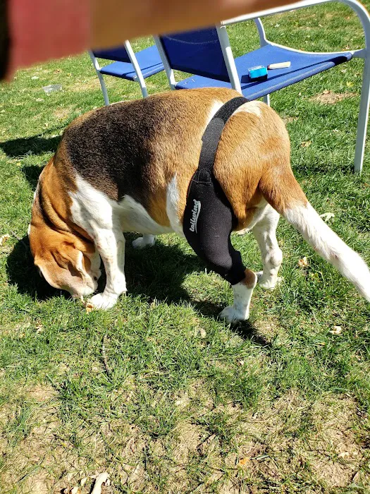 Lancaster Veterinary Specialties Picture 6