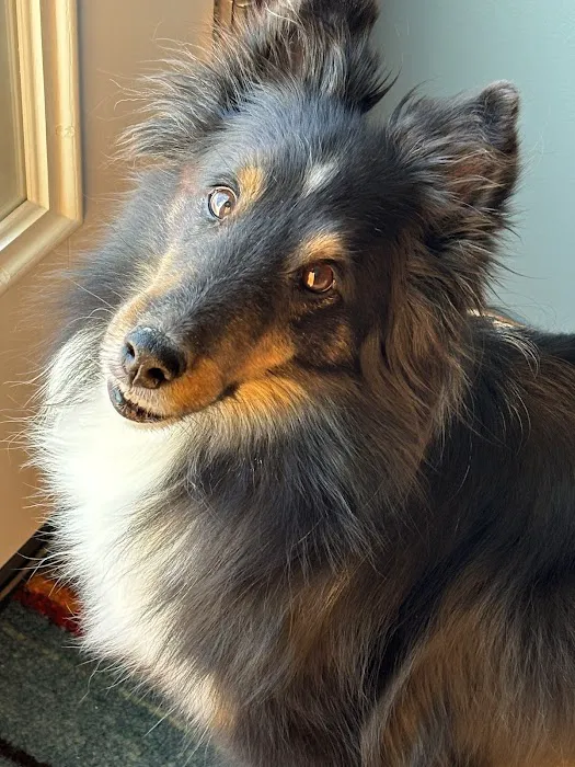 Lancaster Veterinary Specialties Picture 10