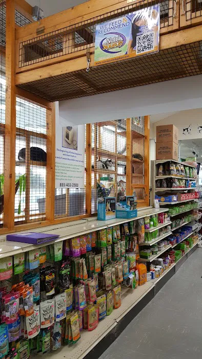 Pet World Picture 3