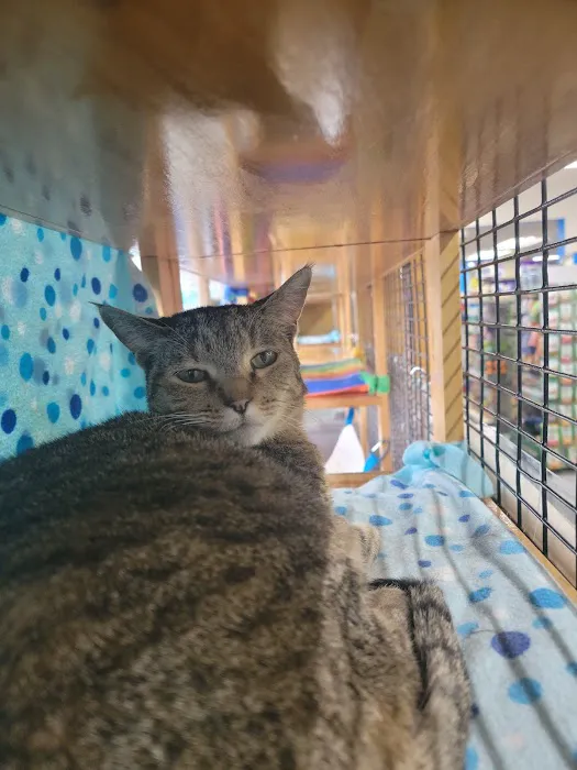 Pet World Picture 2