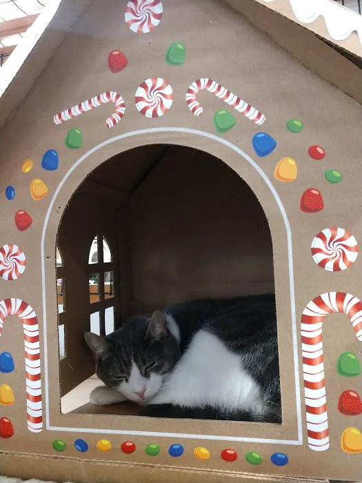 Pet World Picture 1