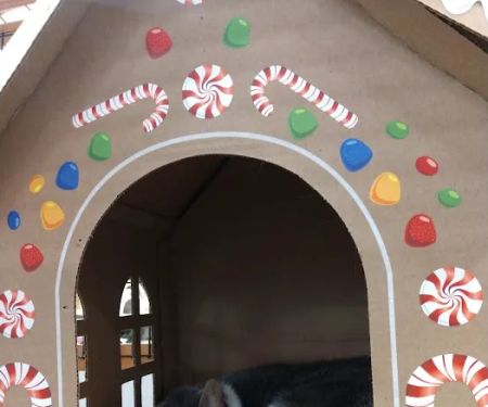 Pet World