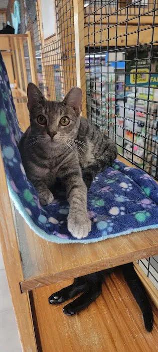 Pet World Picture 8